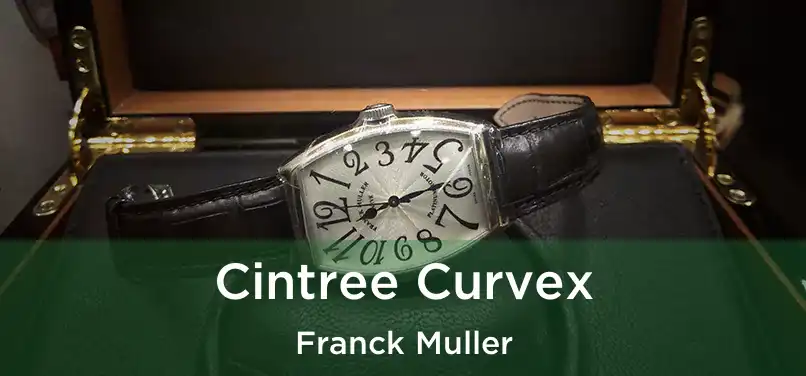  Cintree Curvex Franck Muller